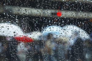 windshield_img001